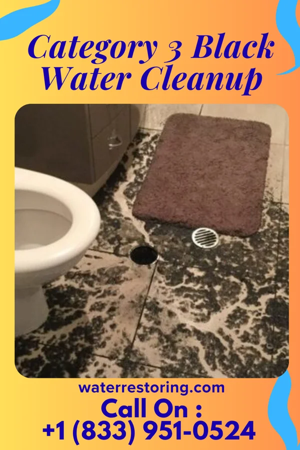 Category 3 Black Water Cleanup in Kanopolis, KS