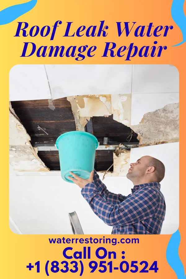 Roof Leak Water Damage Repair in Kanopolis, KS