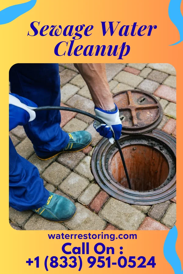 Sewage Water Cleanup in Kanopolis, KS